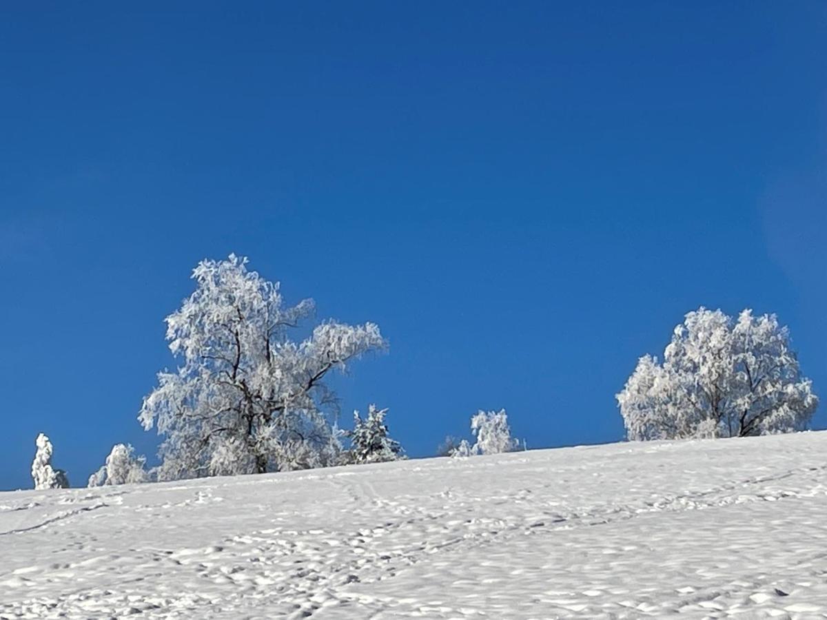 Appartementanlage Kerber Seefeld in Tirol Exteriér fotografie